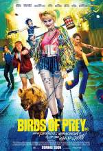 Birds of Prey 2020 Dual Audio Hindi 480p BluRay 300MB Movies4u
