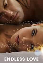 Endless Love 2014 Hindi Dubbed 480p Movies4u