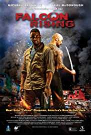 Falcon Rising 2014 Dual Audio Hindi 480p 300MB Movies4u