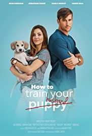 How To Train Your Husband 2017 Hindi Dubbed Movies4u
