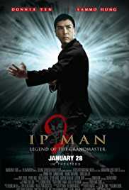Ip Man 2 2010 Dual Audio Hindi 480p 300MB Movies4u