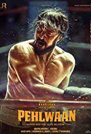Paiwaan 2019 Hindi Full Movie Download Movies4u