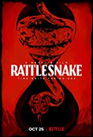 Rattlesnake 2019 Dual Audio Hindi 480p 300MB Movies4u