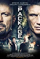 The Package 2013 Hindi Dubbed 480p 720p Movies4u