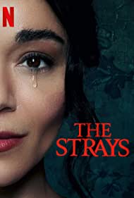 The Strays 2023 Hindi Dubbed 480p 720p 1080p Movies4u